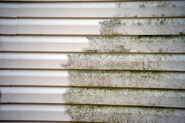 Best Custom Trim and Detailing for Siding  in Oak Valley, NJ