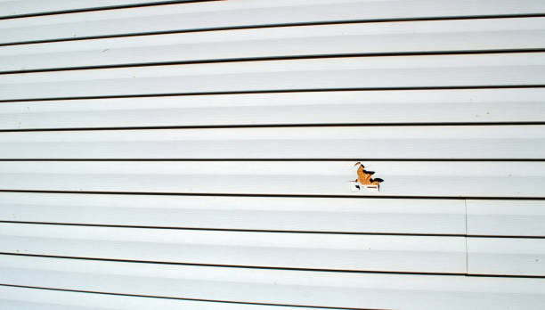 Best Insulated Siding Installation  in Oak Valley, NJ