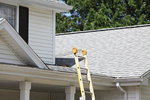 Best Storm Damage Siding Repair  in Oak Valley, NJ
