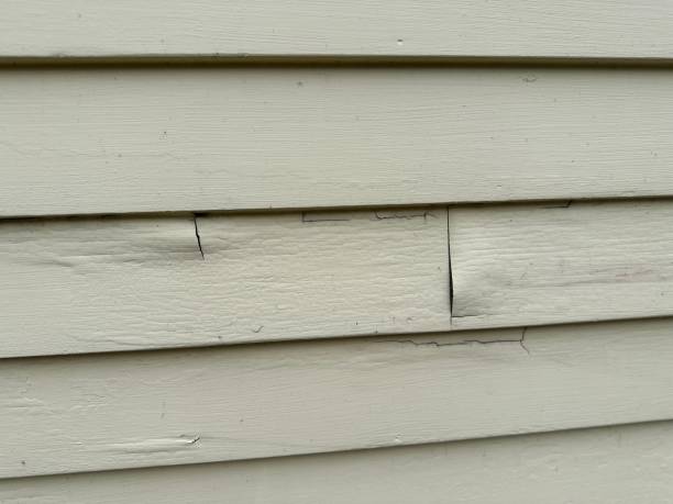 Best Historical Building Siding Restoration  in Oak Valley, NJ